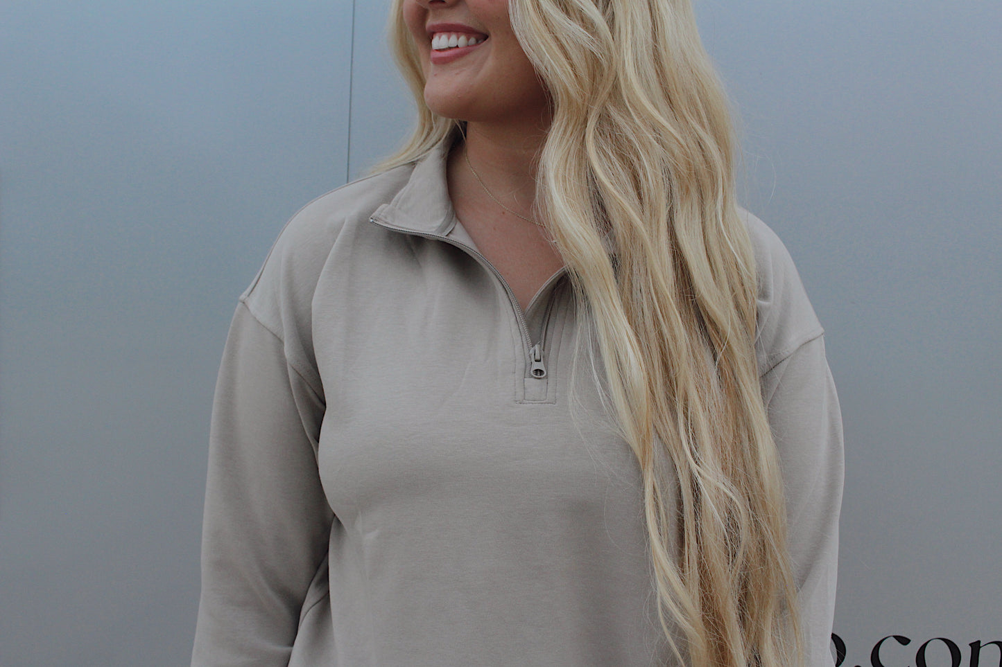 Scuba Half-Zip Pullover : Taupe