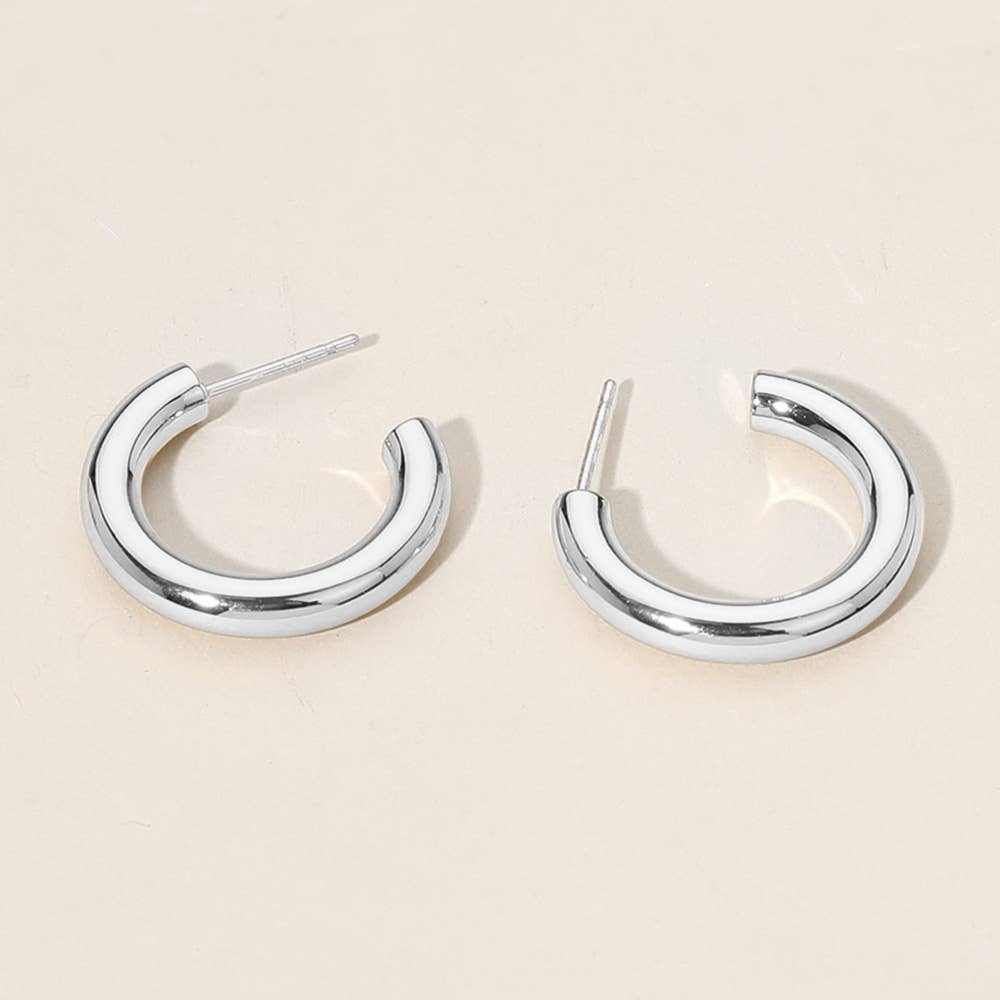 Stainless Steel Hoop Earrings: Silver
