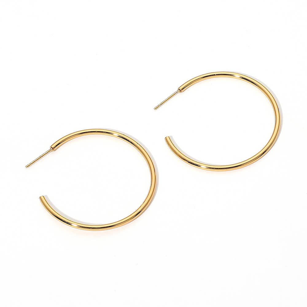 Stainless Steel Hoop Earrings
: Gold