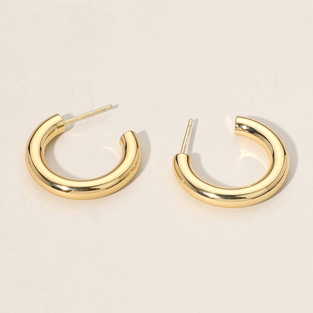 Stainless Steel Hoop Earrings: Silver